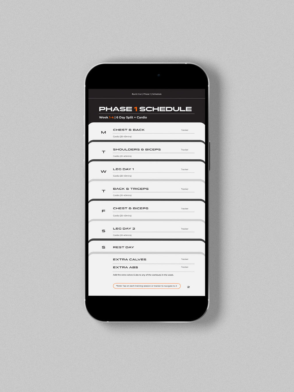 Burnt Cut | 8 Week Men's Gym Program